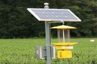 投資太陽能發(fā)電新藍海 2019年加盟和平陽光的成本解析與成功之道